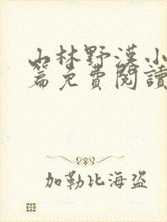 山林野汉小说全篇免费阅读封面