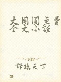 大团圆免费阅读全文小说