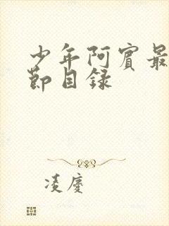 少年阿宾最新章节目录