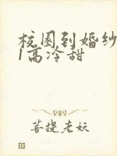 校园到婚纱1V1高冷甜封面