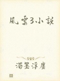 风云3小说