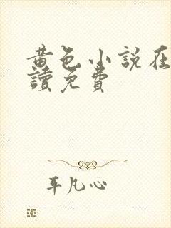 黄色小说在线阅读免费