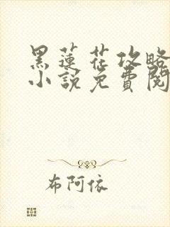 黑莲花攻略手册小说免费阅读封面