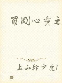 罗刚心灵之约封面