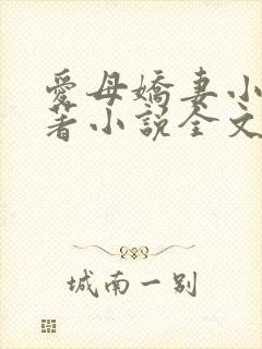 爱母娇妻小说原著小说全文阅读