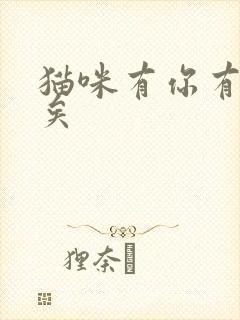 猫咪有你有我足矣