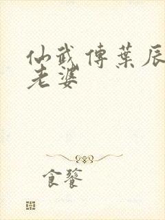 仙武传叶辰几个老婆