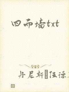 四面墙txt