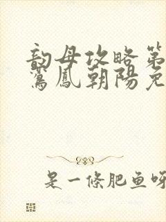 韵母攻略第二部鸾凤朝阳免费阅读