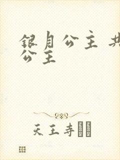 银月公主 共享公主