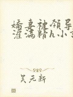 娇妻被领导抱去灌满精h小说封面