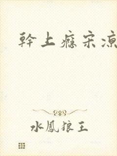 干上瘾宋凉向周封面