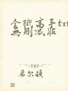 全职高手txt无删减版