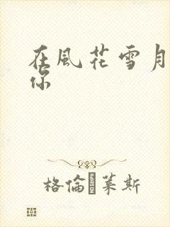 在风花雪月里等你
