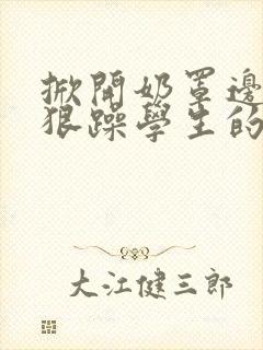 掀开奶罩边躁狠狠躁学生的小文字