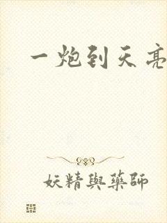 一炮到天亮封面