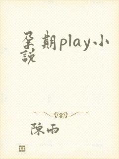孕期play小说