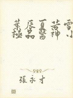 叶辰夏若雪都市极品医神 小说