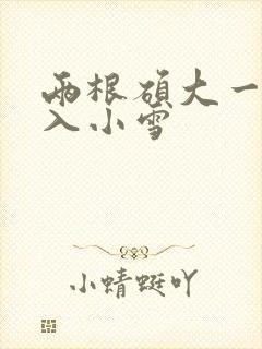 两根硕大一起挤入小雪