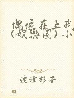 偶像在上我在下(娱乐圈) 小说免费阅读