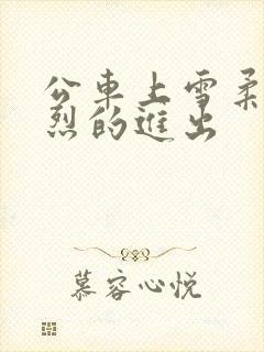 公车上雪柔被猛烈的进出