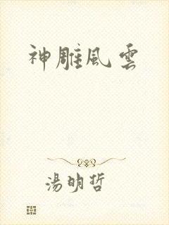 神雕风云