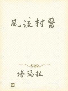 风流村医封面