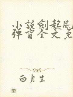 小说剑起风云无弹窗全文免费阅读