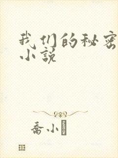 我们的秘密泰剧小说