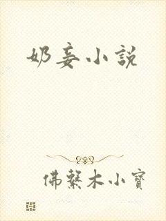 奶妾小说