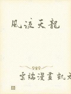 风流天龙封面