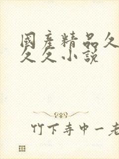 国产精品久久久久久小说