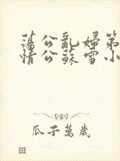 荡公乱妇第1章情公苏雪小说