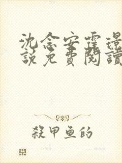 沈念安霍璟川小说免费阅读最新章节