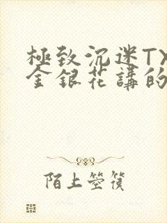 极致沉迷TXL金银花讲的什么封面