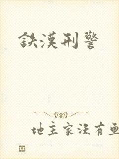 铁汉刑警
