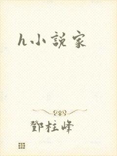 h小说家