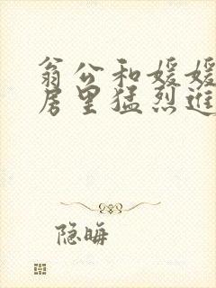 翁公和媛媛在厨房里猛烈进出封面