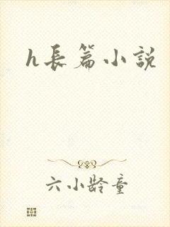 h长篇小说封面