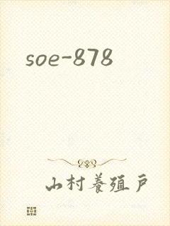 soe-878