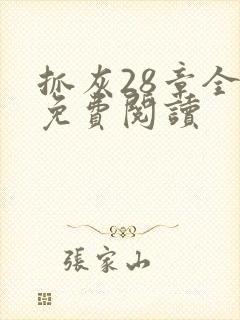 抓灰28章全部免费阅读