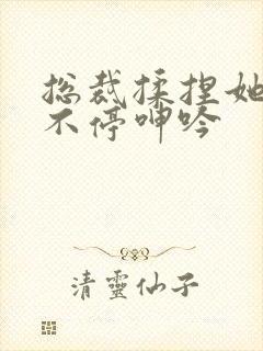 总裁揉捏她两乳不停呻吟