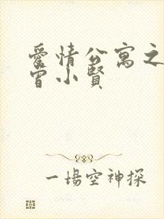 爱情公寓之极品曾小贤