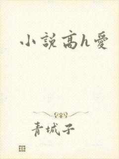 小说高h爱