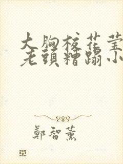 大胸校花莹莹被老头糟蹋小说封面