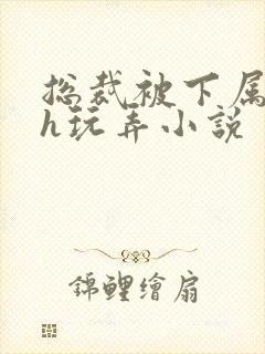 总裁被下属调教h玩弄小说