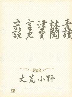 宋言津林青妍小说免费阅读最新章节封面