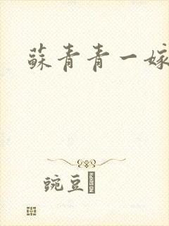 苏青青一嫁三夫封面