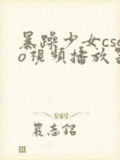 暴躁少女csgo视频播放器推荐