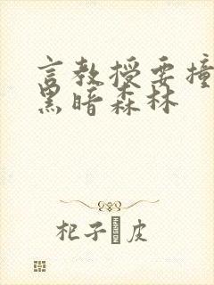 言教授要撞坏了黑暗森林封面